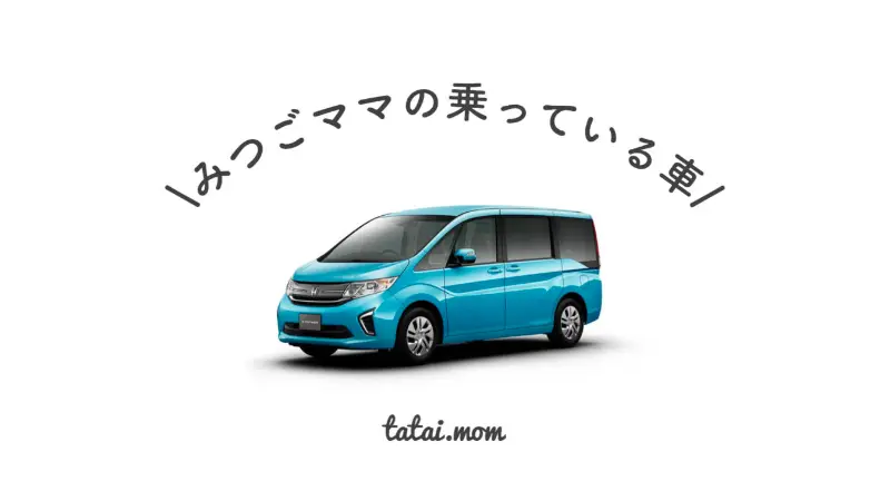 三つ子　車　多胎　四つ子